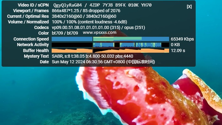 IPRaft美国阿什本单ISP-ATT VPS看youtube